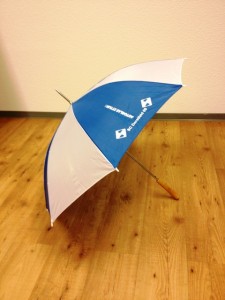 DSC09-Regenschirm-03